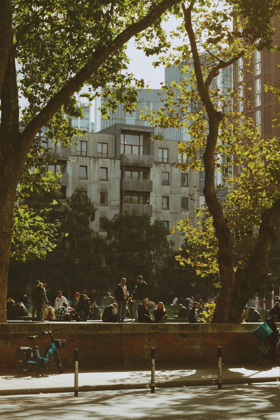 Junction Triangle Master Plan